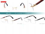Titanium frames