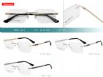 Titanium frames